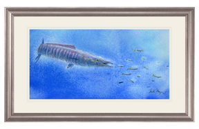 Wahoo Scene