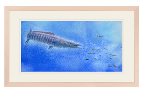 Wahoo Scene