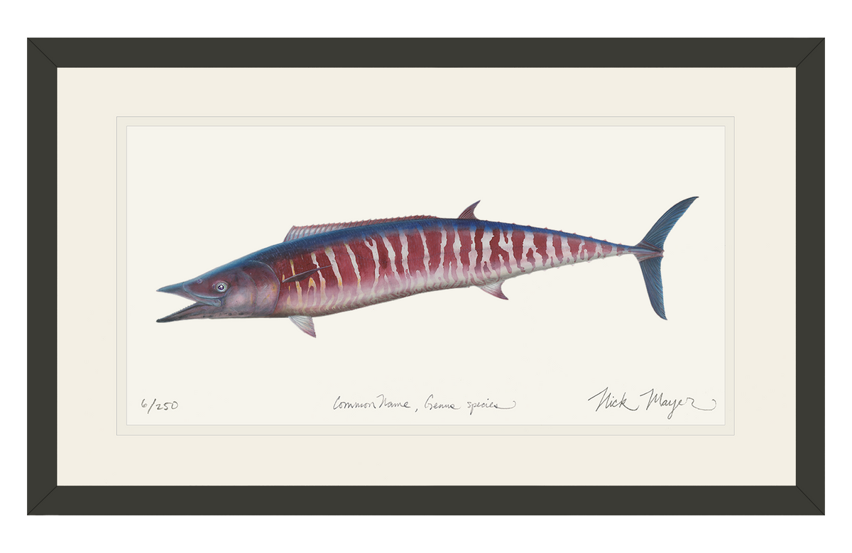 Wahoo Print