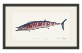 Wahoo Print