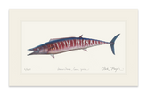 Wahoo Print