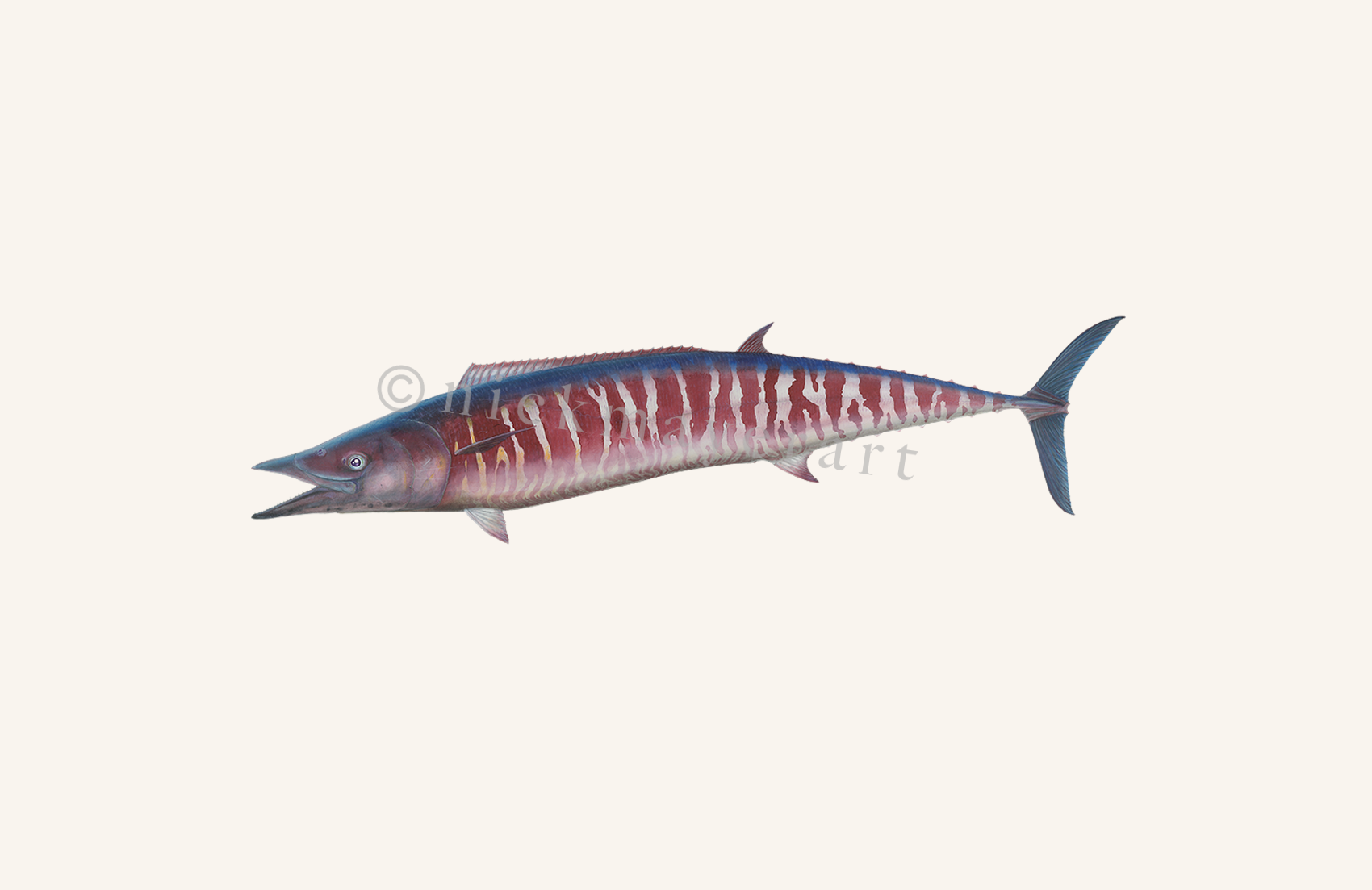 watermark