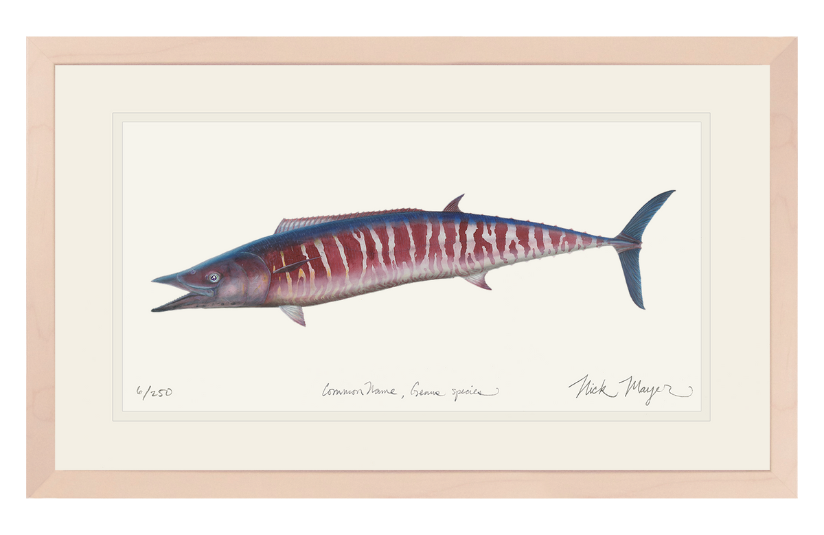 Wahoo Print