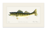 Walleye Print