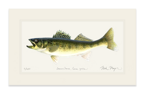 Walleye Print