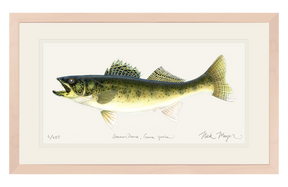 Walleye Print