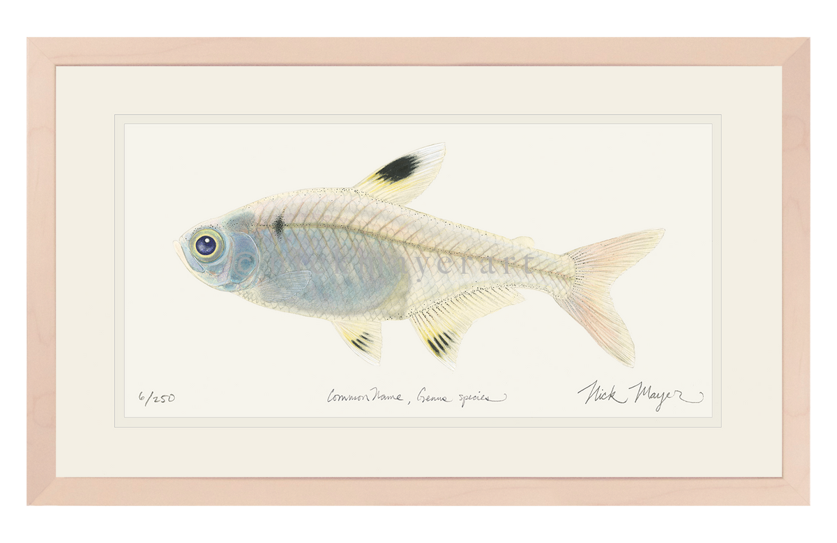 X-ray Fish Print