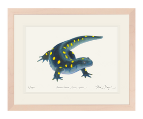 Yellow Spotted Salamander Print