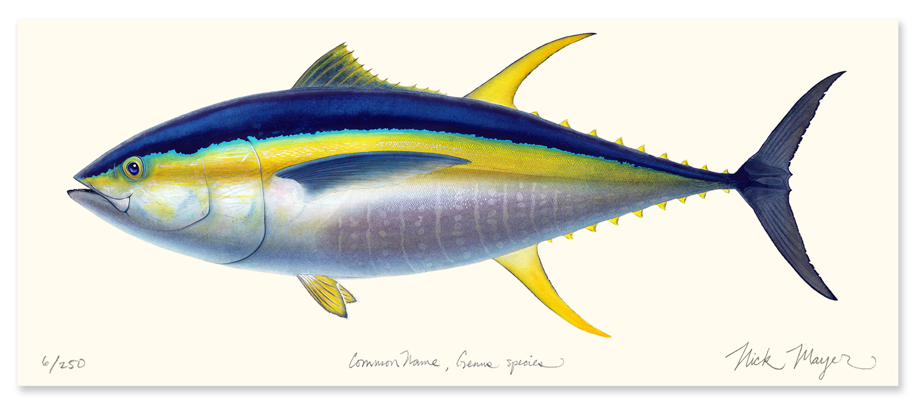 Yellowfin Tuna Masterwork Limited Edition Canvas