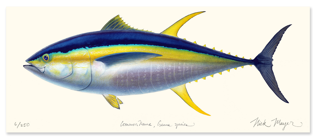 Yellowfin Tuna Masterwork Canvas