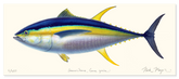 Yellowfin Tuna Masterwork Canvas