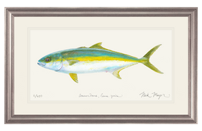 California Yellowtail I Print
