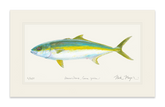 California Yellowtail I Print