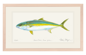 California Yellowtail I Print