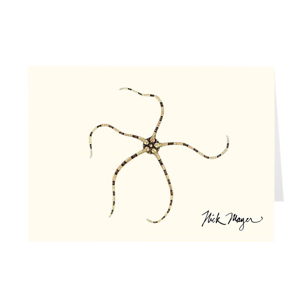 Brittle Star Notecards