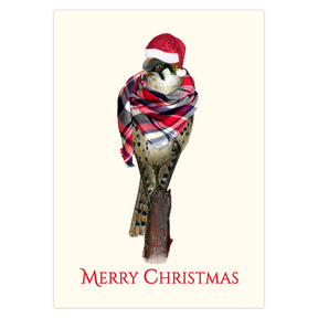 Bundled Up Kestrel Christmas Cards
