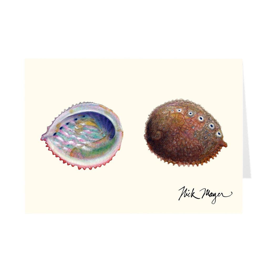 Pink Abalone Notecards