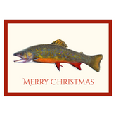Brook Trout Christmas Cards
