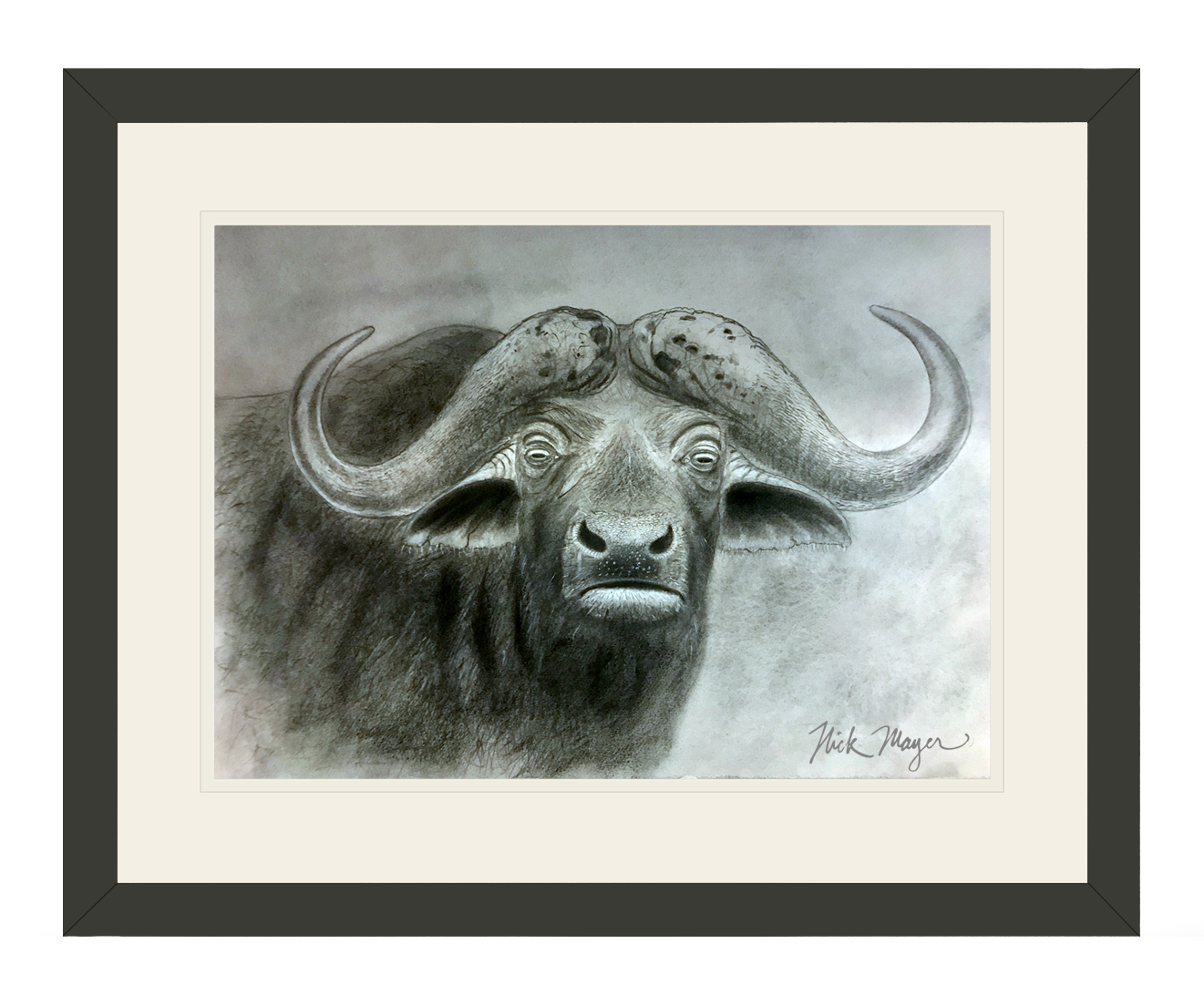 Cape Buffalo Original Charcoal Drawing
