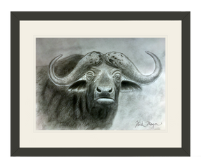 Cape Buffalo Original Charcoal Drawing