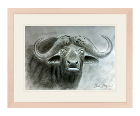 Cape Buffalo Print