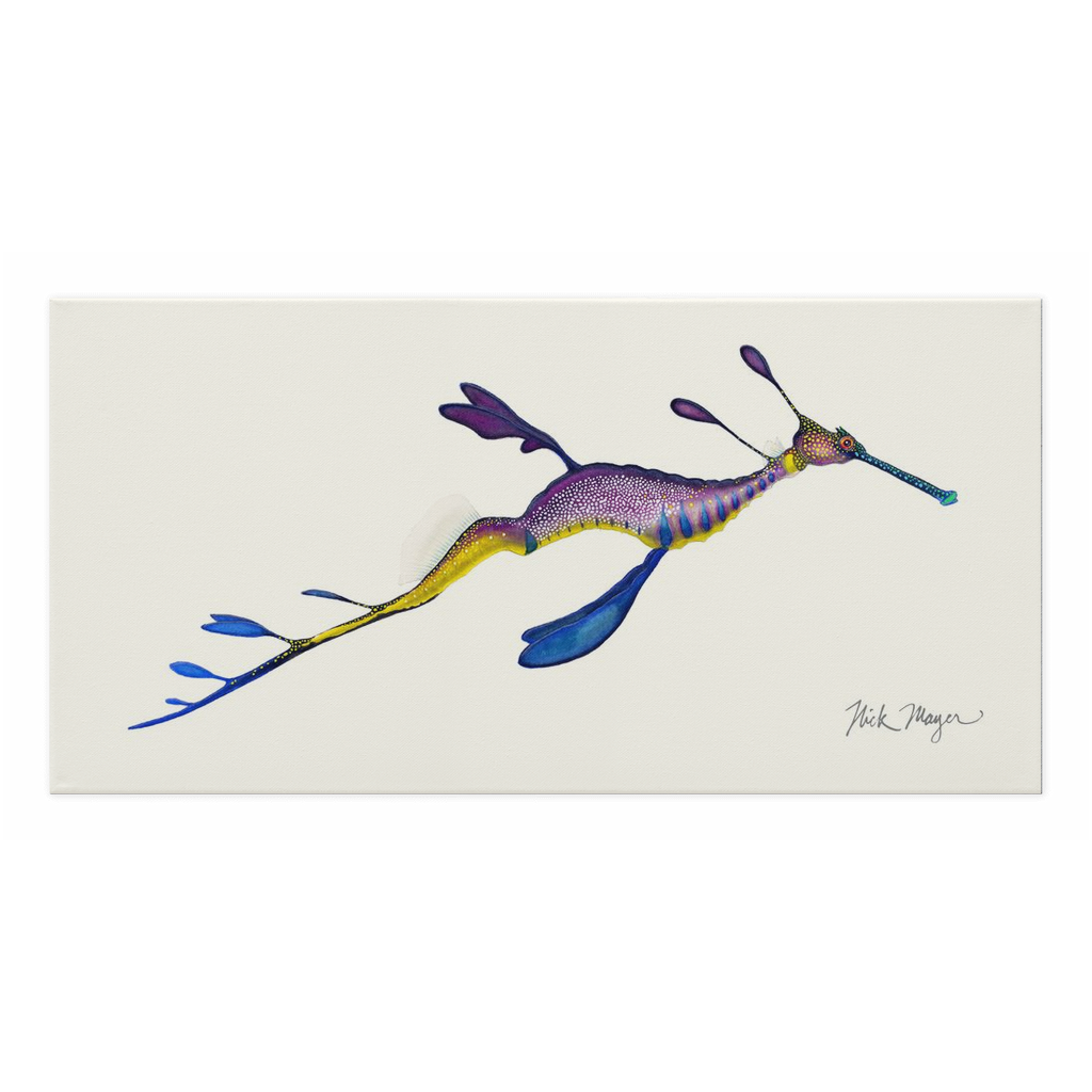 Weedy Seadragon Canvas Print