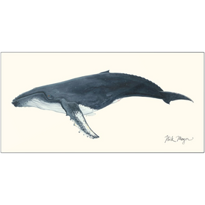 Humpback Whale Metal Print, NEW!