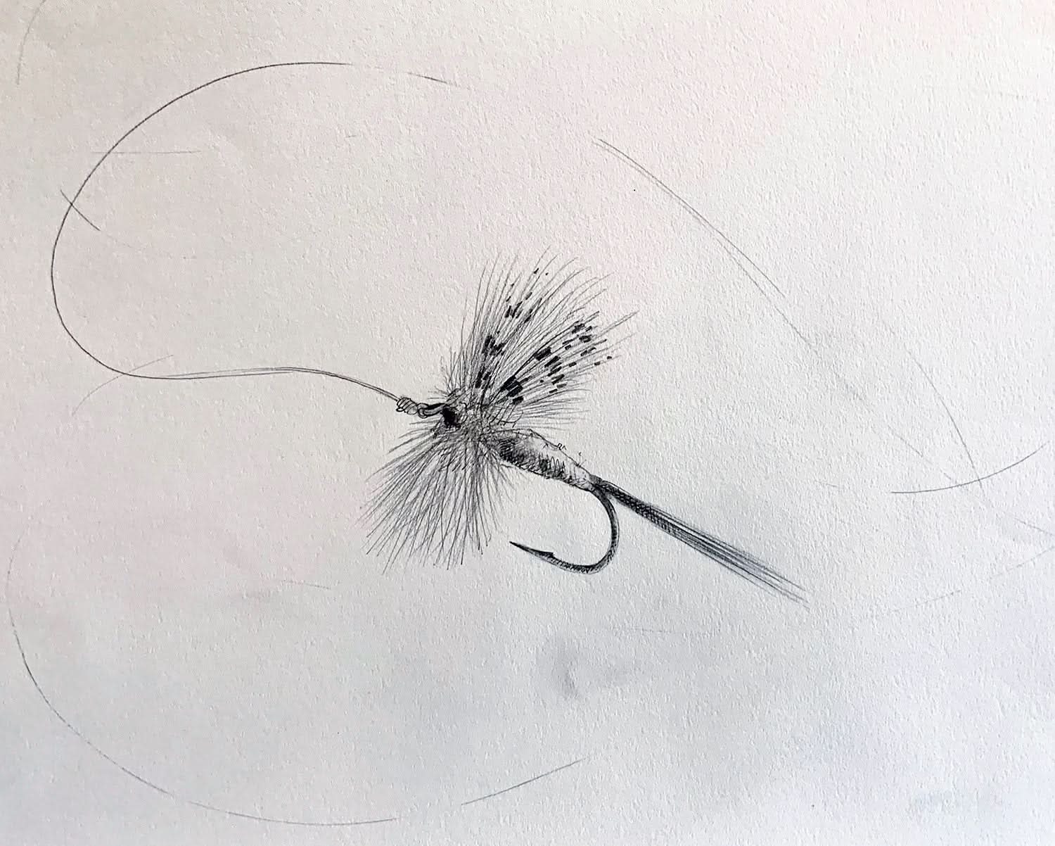 Fly Fishing Lures Drawing
