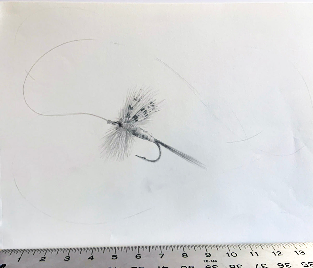 Dry Fly Sketch Unframed Original Pencil Drawing