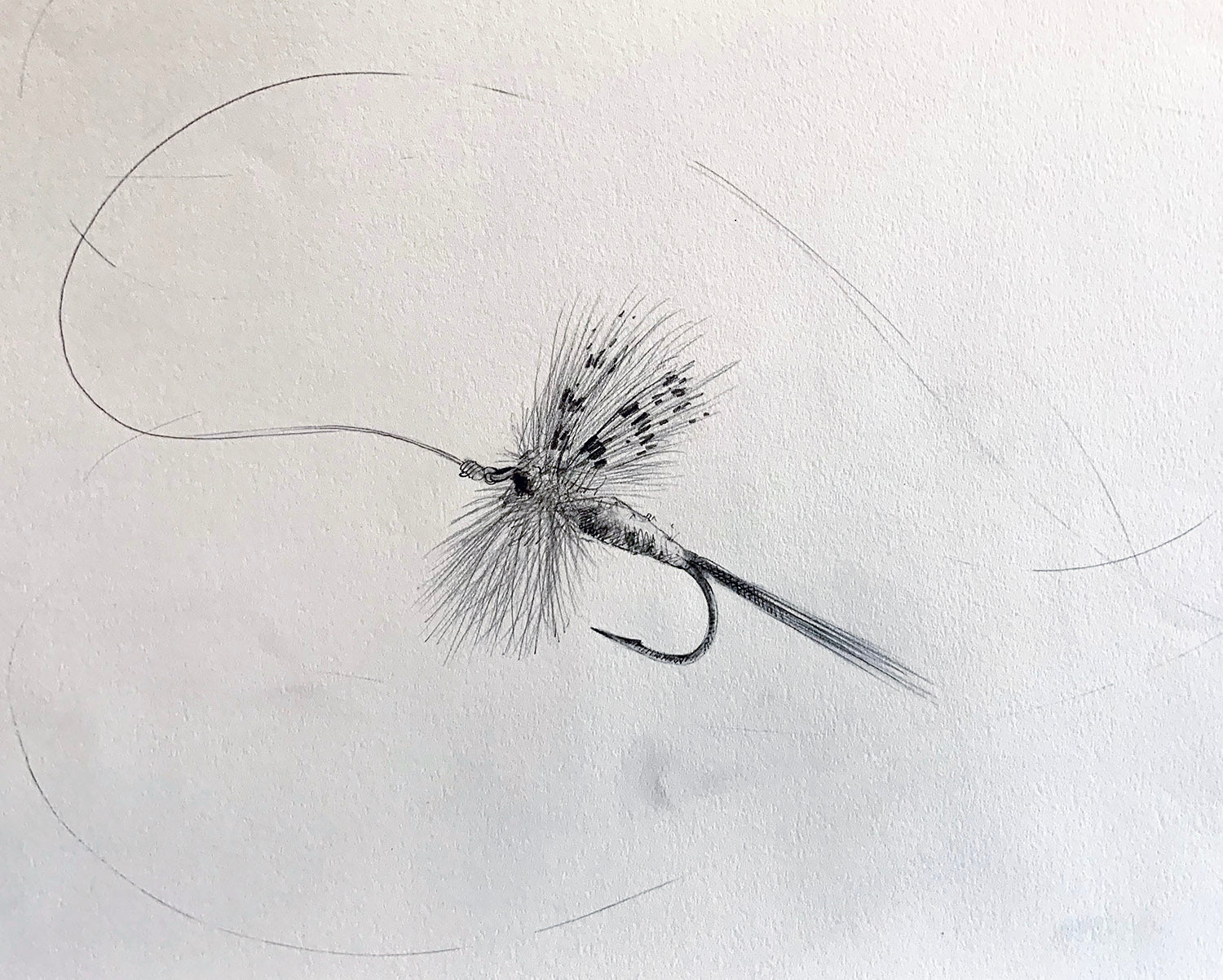 Dry Fly Sketch Unframed Original Pencil Drawing