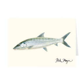 Bonefish Notecards