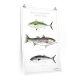 Atlantic Inshore Grand Slam Poster