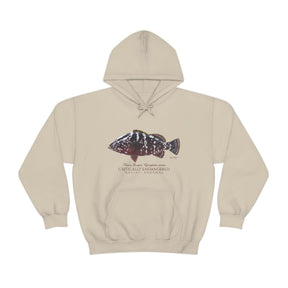 Endangered Nassau Grouper Warm Hoodie