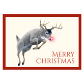 Holiday Buck Christmas Cards