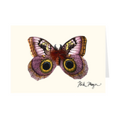 Owl Butterfly Notecards