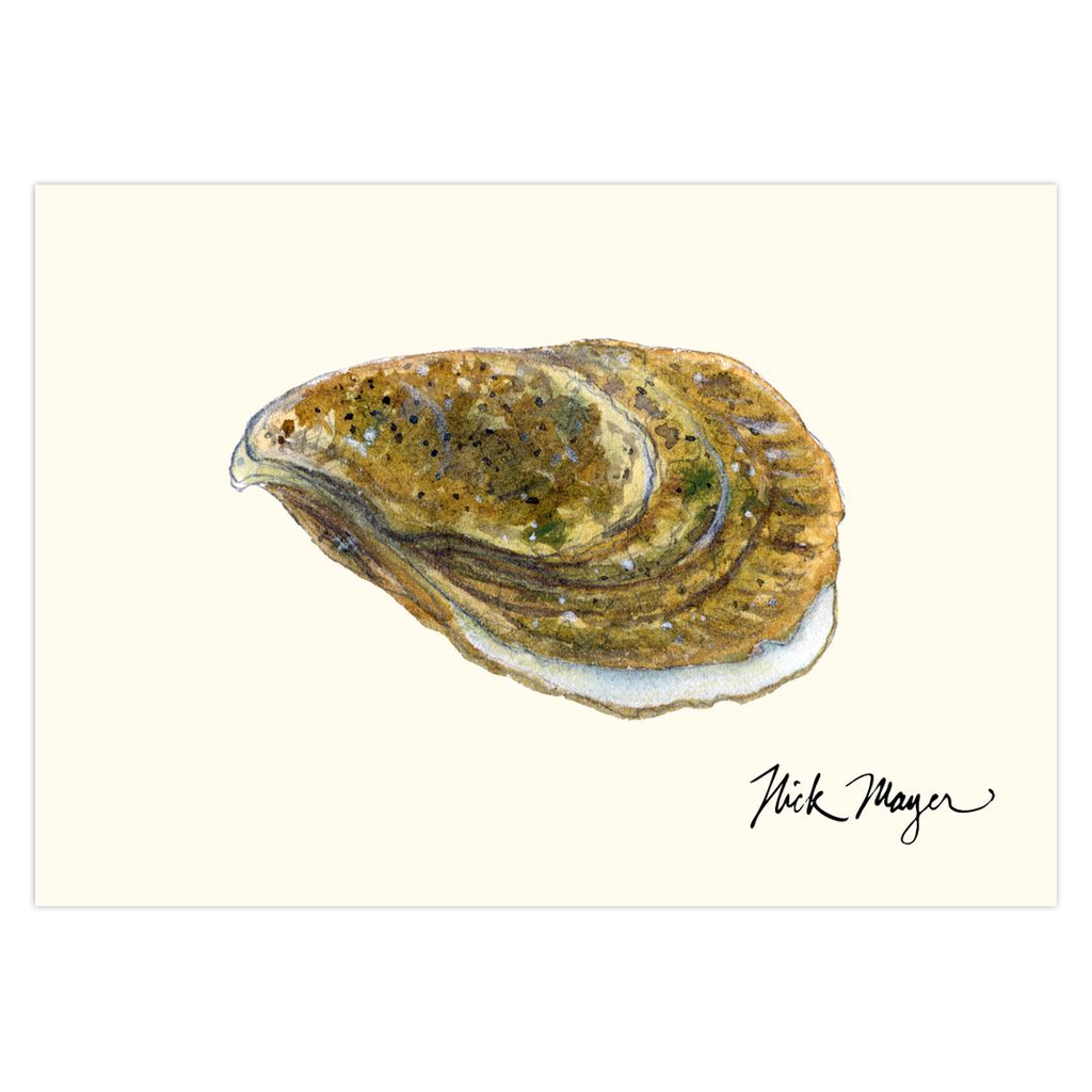 Oyster II Notecards