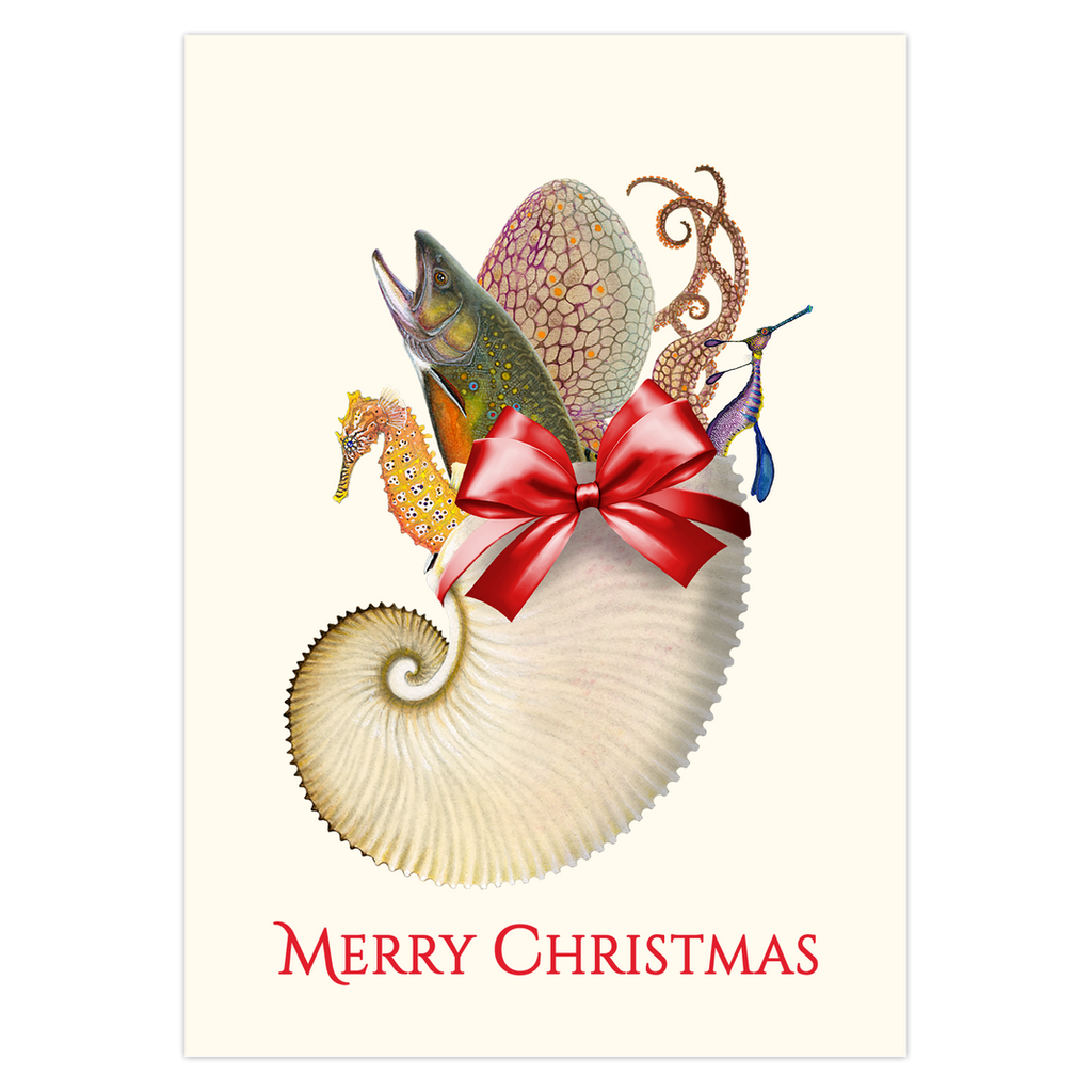 Sea Stocking Christmas Cards