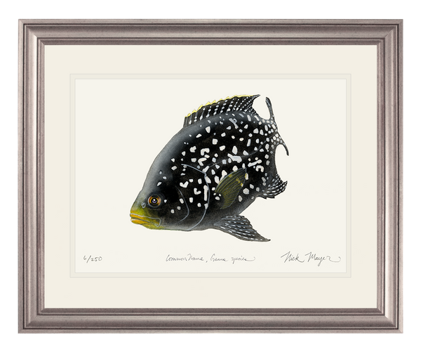 fish_art_print_si_grande.png?v