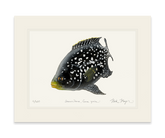 Starry Night Cichlid 2 unframed