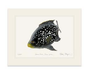 Starry Night Cichlid 2 unframed
