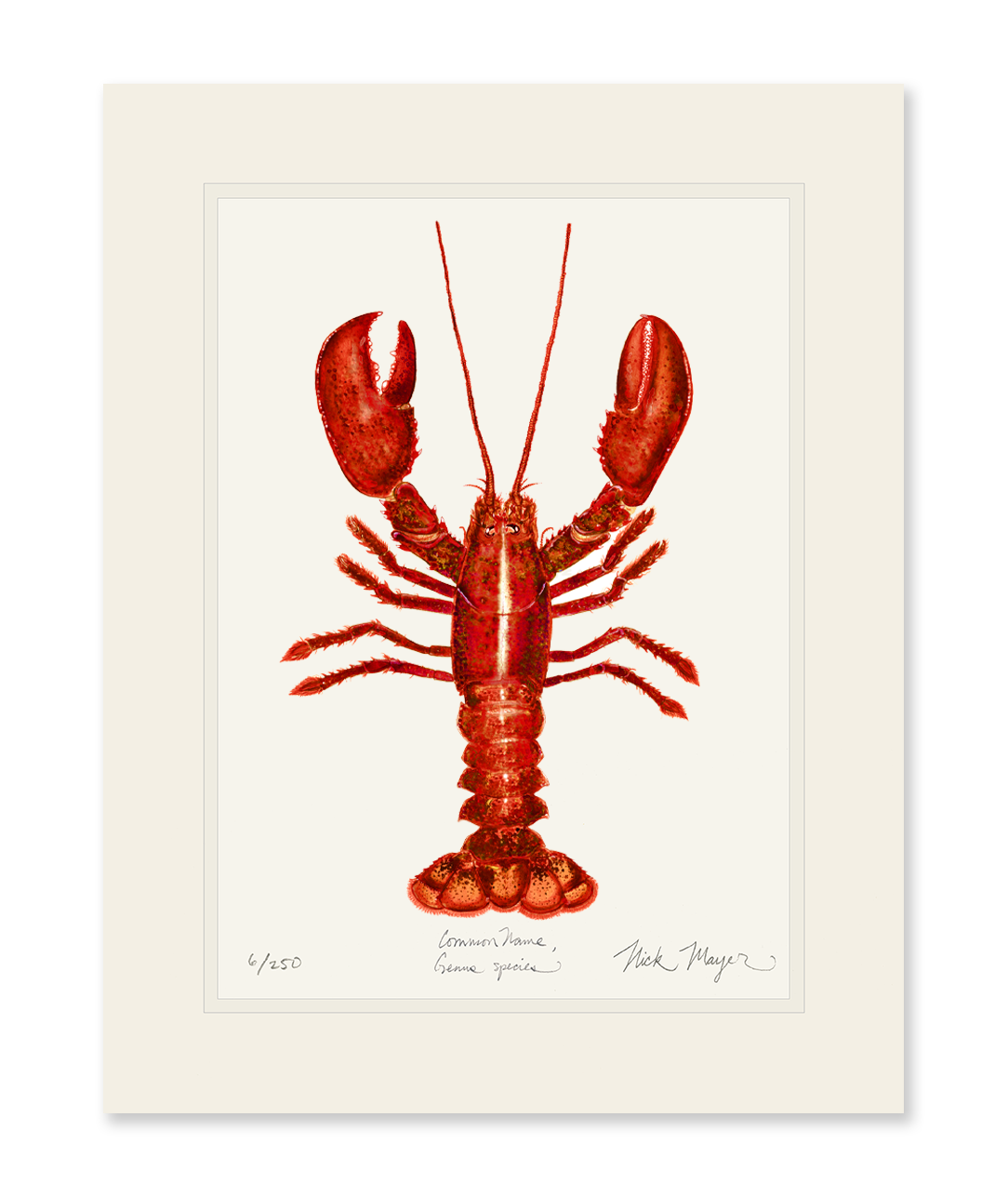 Red Lobster Limited Edition Print