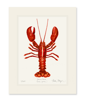 Red Lobster Print