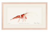 Harlequin_Shrimp_painting