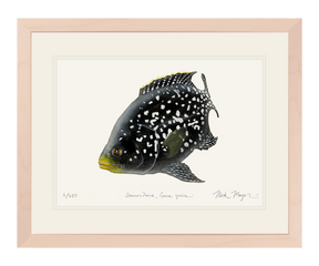 Starry Night Cichlid 2 white frame