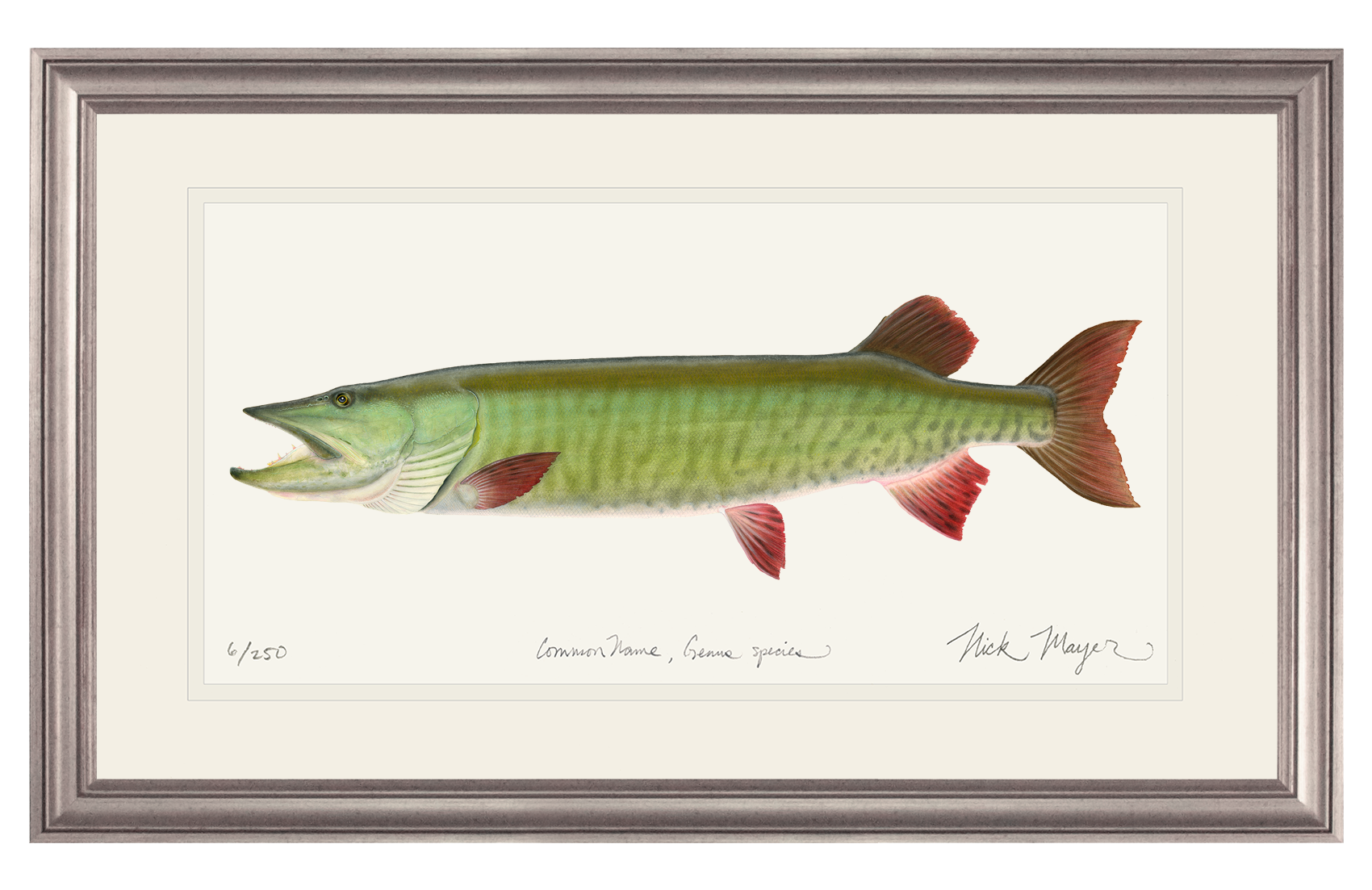 50 Muskie Print - The ultimate gamefish for fly fishing enthusiasts