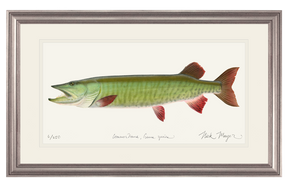 Trophy Muskie Print