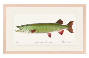 Trophy Muskie Print