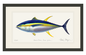 Yellowfin Tuna Print - Best Seller