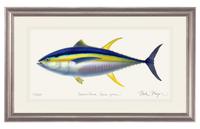 Yellowfin Tuna Print