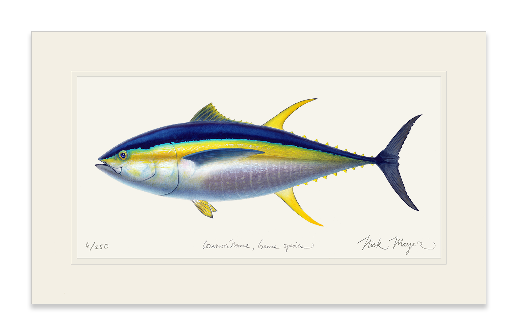Yellowfin Tuna Print
